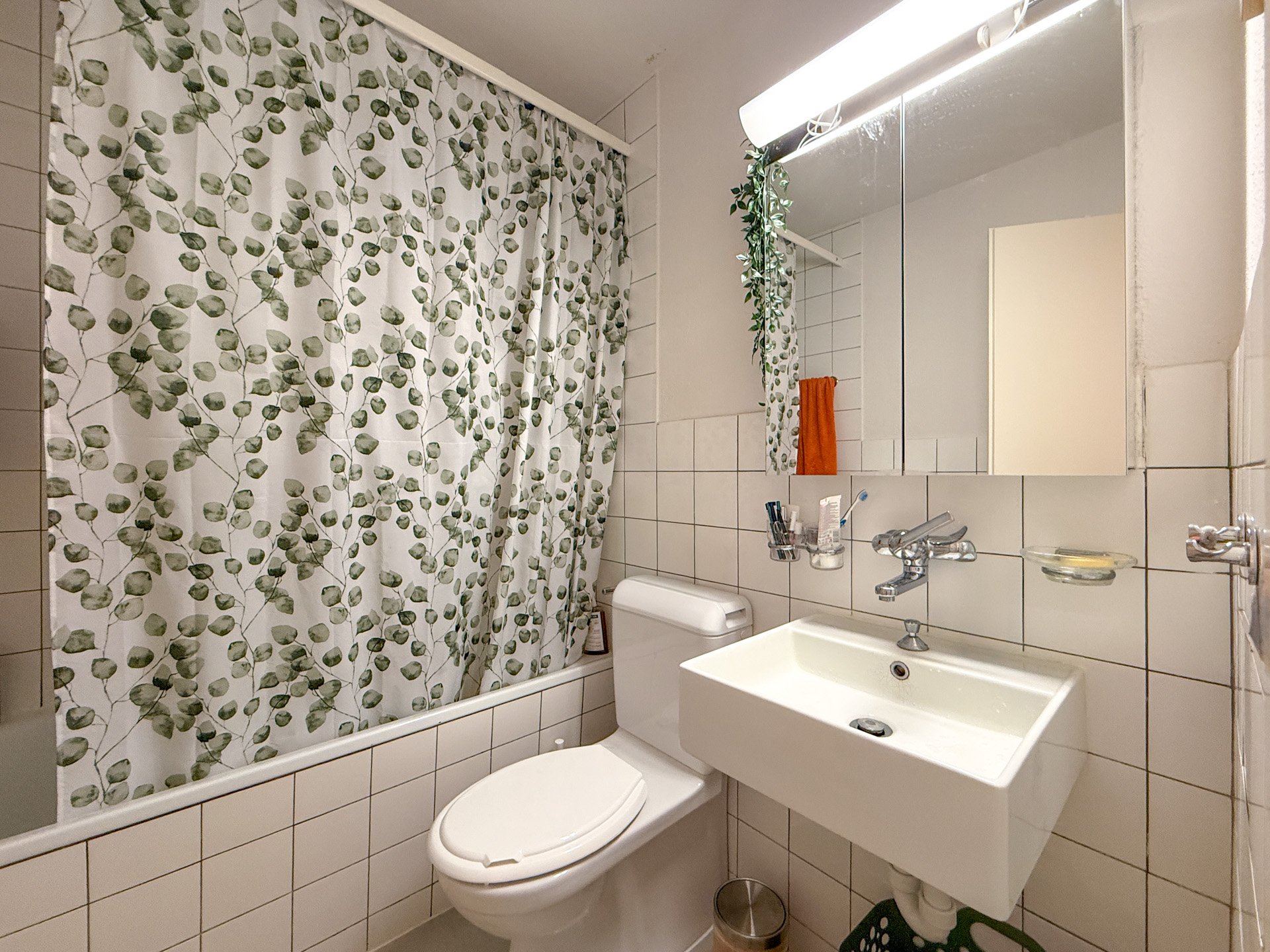 Mehrfamilienhaus Erlenweg 17, Badezimmer neu