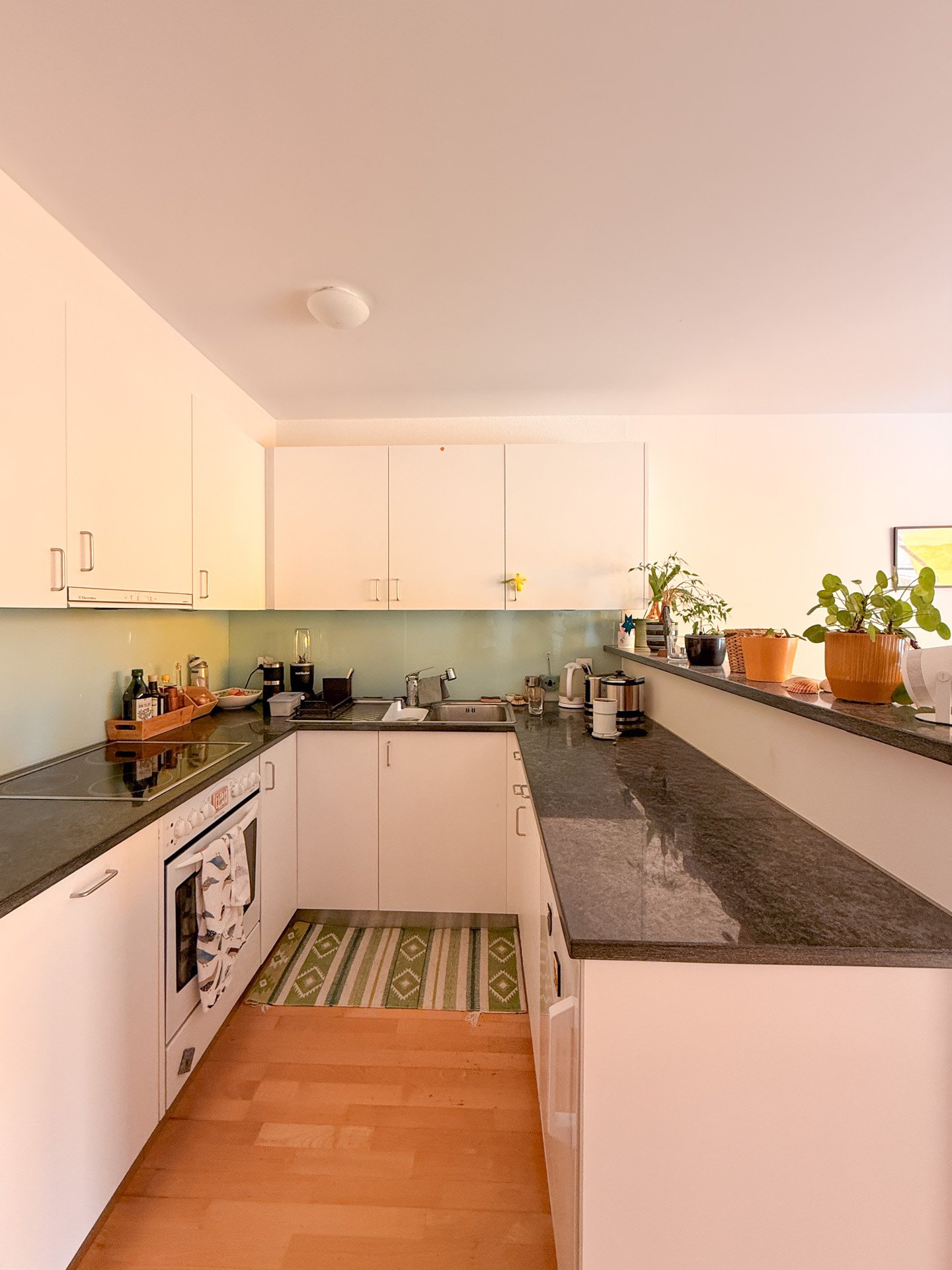 Mehrfamilienhaus Erlenweg 17, Küche neu
